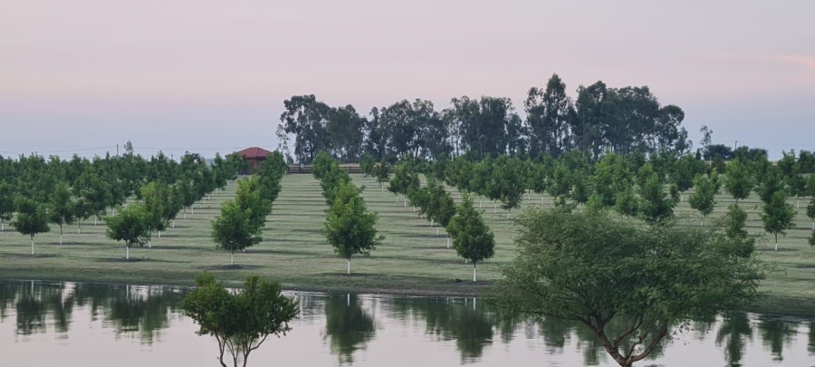 4 Bedroom Property for Sale in Oranjeville Free State